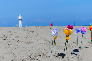 Bild mit Blumen, Meere, Sand, Urlaub, Strand, Nordseeküste, Leuchtturm