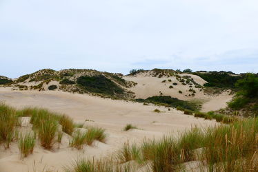 Bild mit Sand, Dünen, Dünengras, Nordseeküste