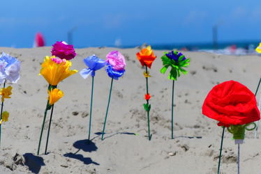 Bild mit Blumen, Sand, Urlaub, Strand, Meer, Nordseeküste, basteln, Belgien