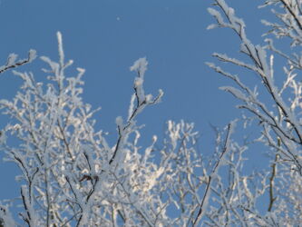 Bild mit Winter, Schnee, Blauer Himmel, winterlandschaft, Winteraufnahmen, Winterbilder, Winterwelt, gefroren, Zweig