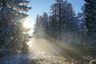 Bild mit Winterlandschaften, Nebelauflösung, Wintersonne
