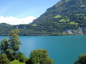 Bild mit Natur, See, berg, Schweiz