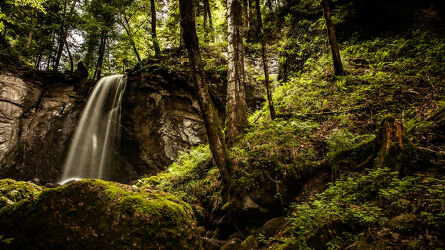 Bild mit Märchenwald, Blick in den Wald, Wald Bild, Wasserfall, Moos