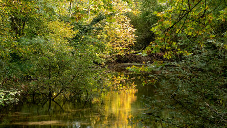 Bild mit Natur, Wasser, Bäume, Herbst, Laubbäume, See, Farbenspiel, Wasseroberfläche, Reflektionen im Wasser