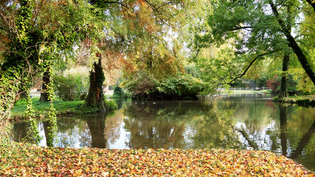 Bild mit Natur, Herbst, Herbstblätter, farbenfroh, Herbststimmung, Weiher, Wasseroberfläche