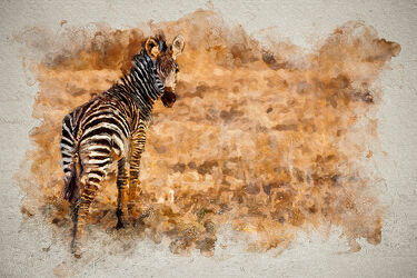 Bild mit Tiere, Abstrakt, Afrika, Zebra, safari, digital, Painting