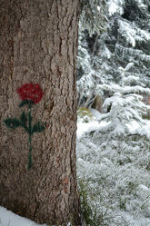 Bild mit #baum, #art, #red, #romantic, #forest, #snow, #rosetree, #tree, #rose, #rose