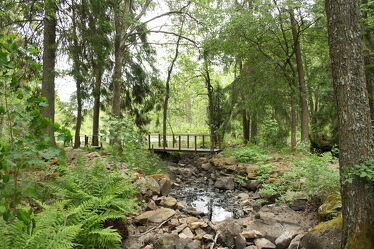 Bild mit Wälder, Ländliche Gebiete, Wald, Landschaft, Waldblick, Brücke