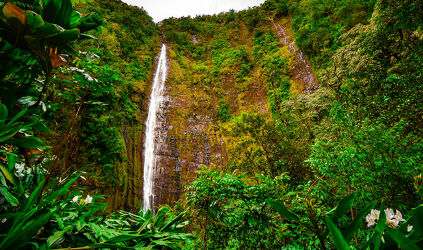 Wasserfall im tropischen Wald von Maui, Hawaii