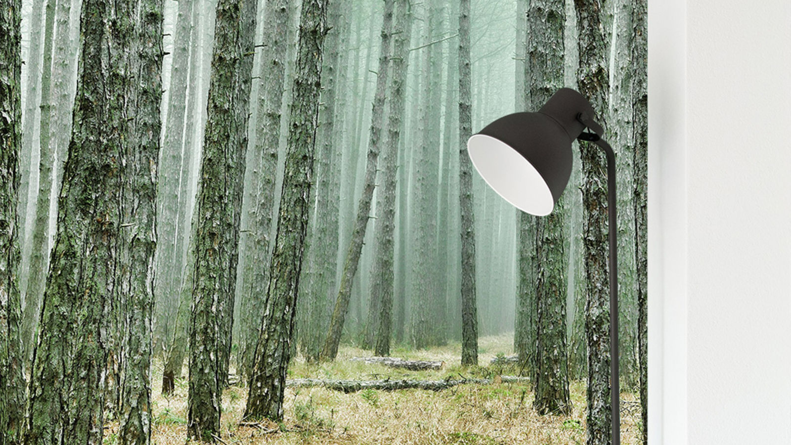Fototapete Wald im XXL-Format selbst gestalten